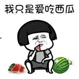 过度解读娱乐吃瓜酱,揭秘网络舆论背后的真相与偏见