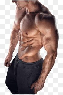 男模鸟图片,揭秘男模鸟的独特魅力